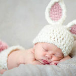 baby bunny photo