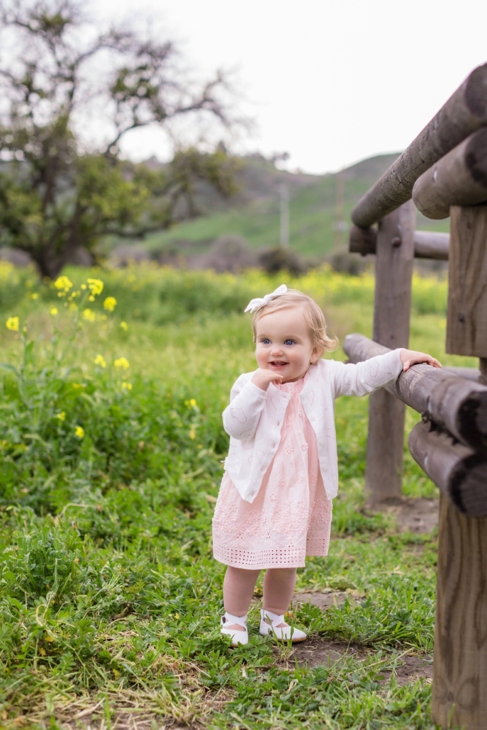 babyportraitsinamustardfield