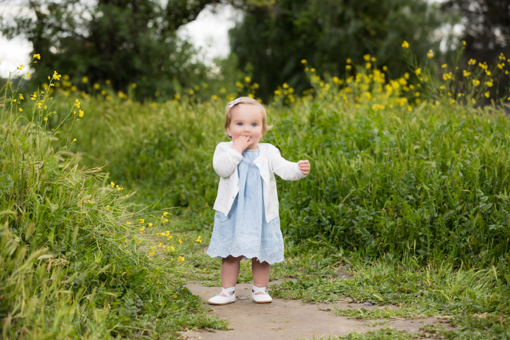 babyportraitsinflowerfield_5