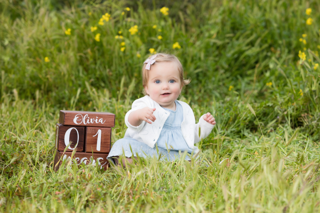 babysfirstbirthdayportraits