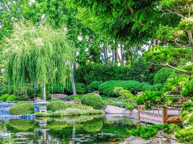 senior pics at Japanese Gardens