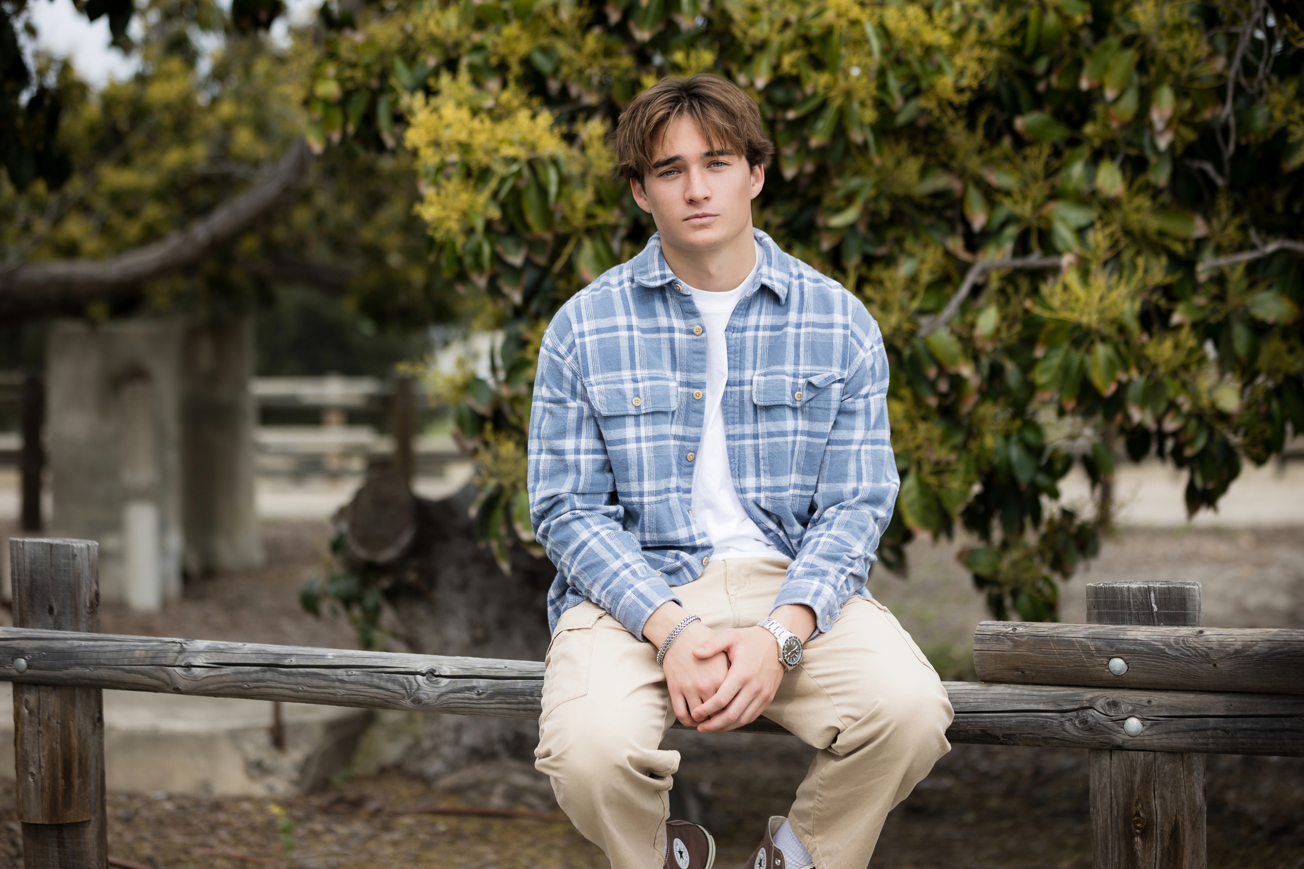 Senior guy sitting on a wooden fence with a tree full of yellow-green blossoms behind him, wearing a casual flannel and neutral-toned outfit.